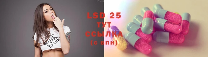 ПСИЛОЦИБИНОВЫЕ ГРИБЫ Липки