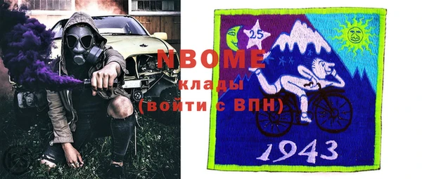 ПСИЛОЦИБИНОВЫЕ ГРИБЫ Липки