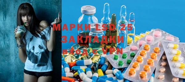 ПСИЛОЦИБИНОВЫЕ ГРИБЫ Липки