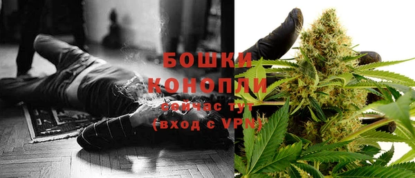 ПСИЛОЦИБИНОВЫЕ ГРИБЫ Липки