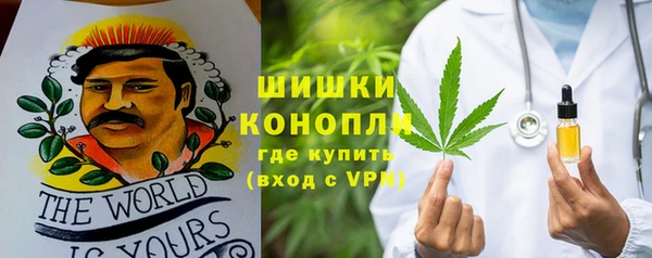 ПСИЛОЦИБИНОВЫЕ ГРИБЫ Липки